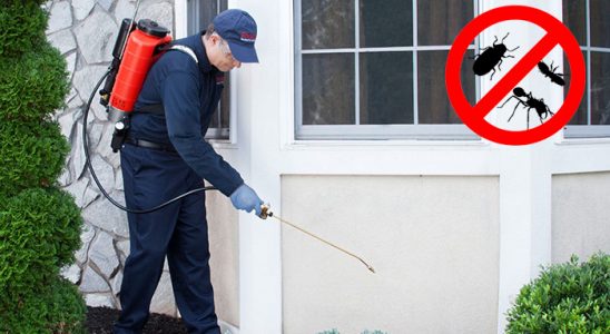 Ünye Kene İlaçlama böcek ilaçlama ve haşere kontrolü — ilaclama-tr.com